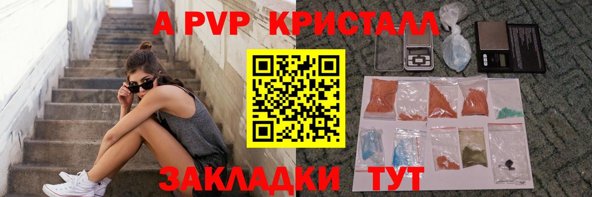 A PVP СК Новосибирск