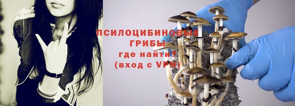 скорость Сафоново