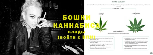 СК Сатка