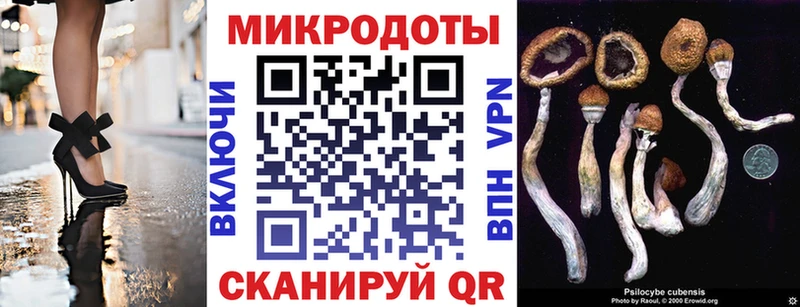 OMG   Новосибирск  Псилоцибиновые грибы Cubensis  даркнет сайт 