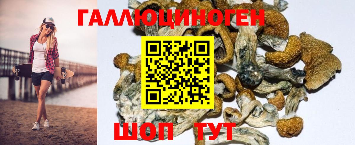 Галлюциногенные грибы Magic Shrooms  Вход с VPN  Новосибирск 